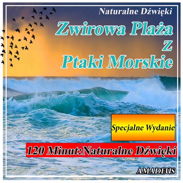 Zwirowa Plaża z Ptaki Morskie: Naturalne Dźwięki: Specjalne Wydanie cover art