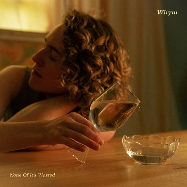 None of It's Wasted album image
