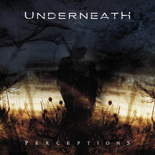 Perceptions cover art