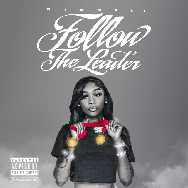 Follow The Leader cover art