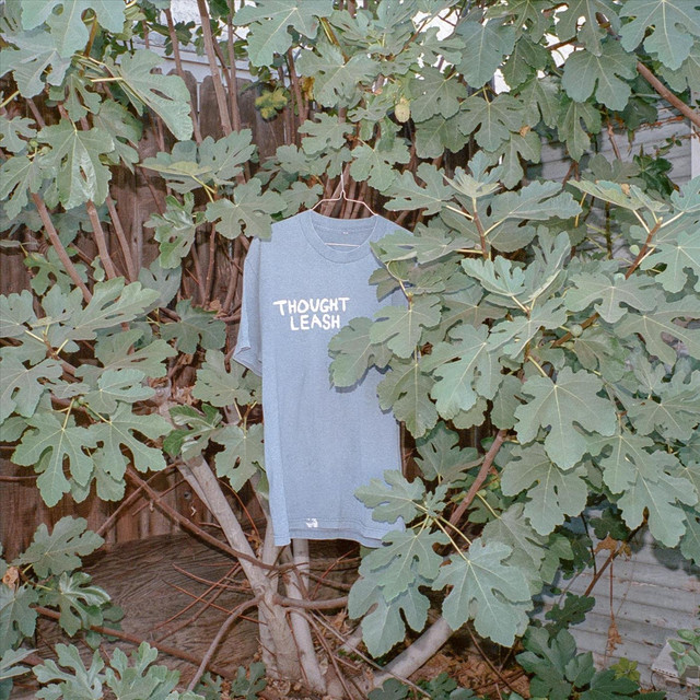 Thought Leash cover art