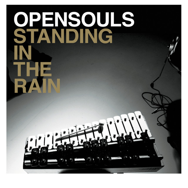 Standing in the rain cover art