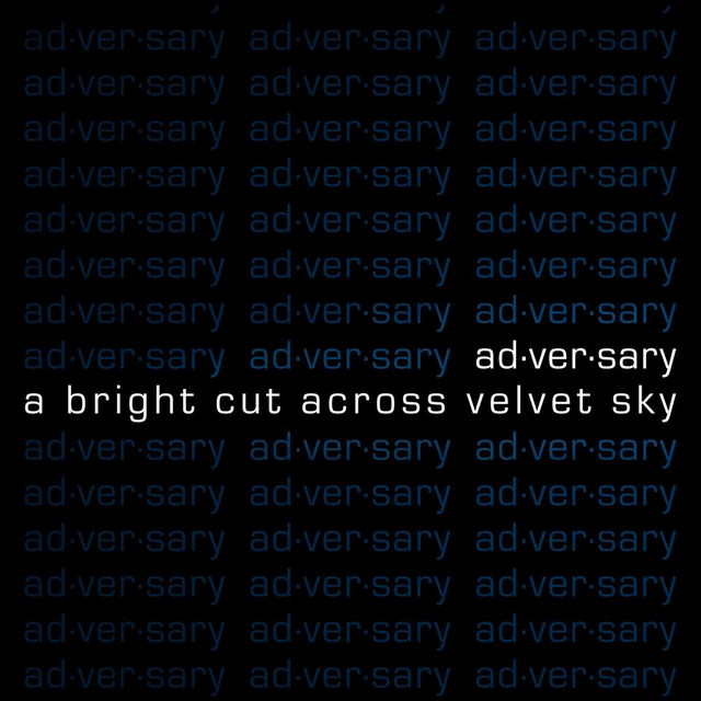 Ad·ver·sary Photo