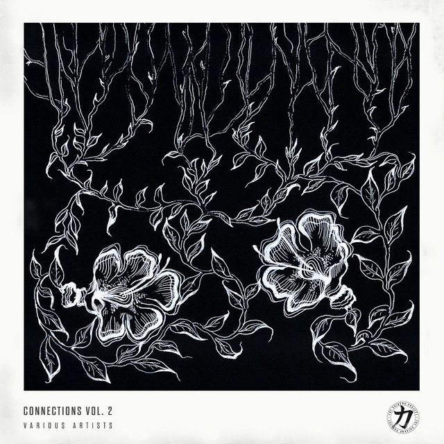 Void cover art