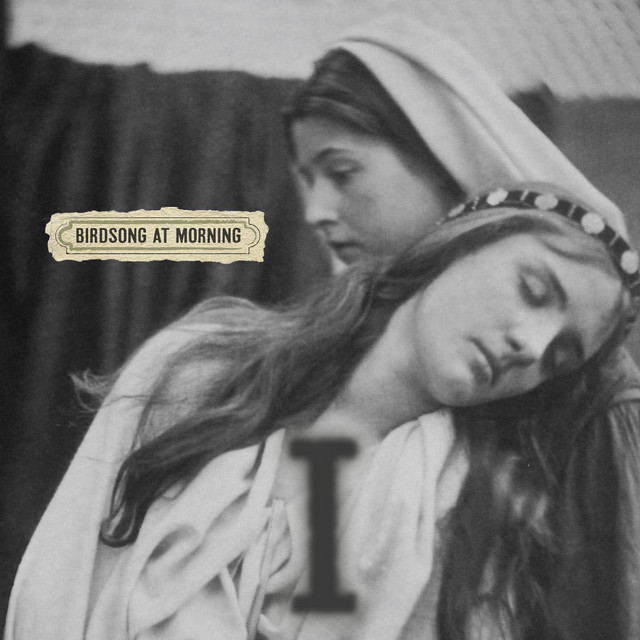 Moonlight Mile Song By Birdsong At Morning Spotify