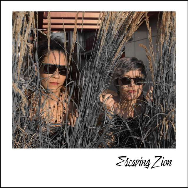 Escaping Zion cover art