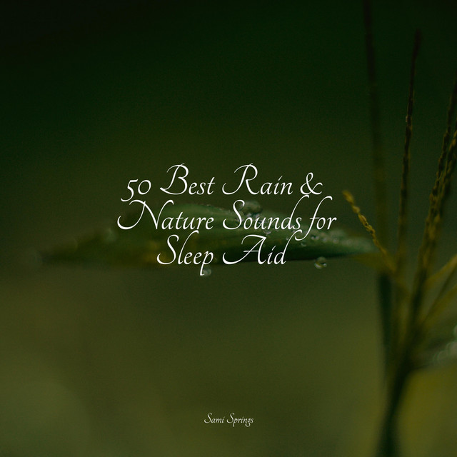 50 Best Rain & Nature Sounds for Sleep Aid - Album by Nature & Sounds ...
