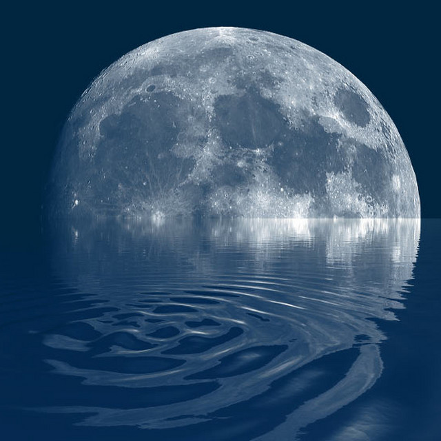 I Wảtch The Moon cover art