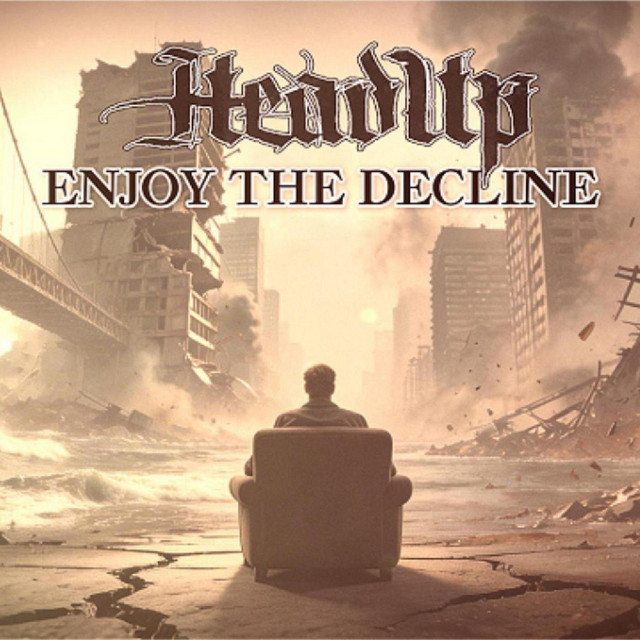 Enjoy the decline cover
