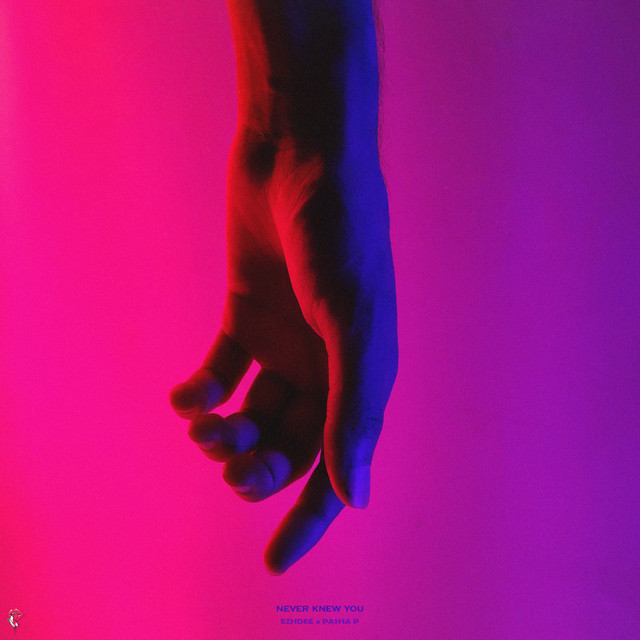 Обкладинка: Never knew you — Ezhdee
