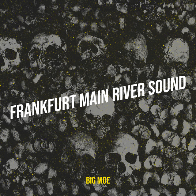 Frankfurt Main River Sound cover art