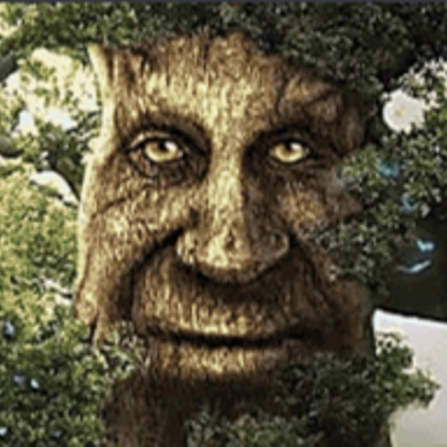 Squidad cover art