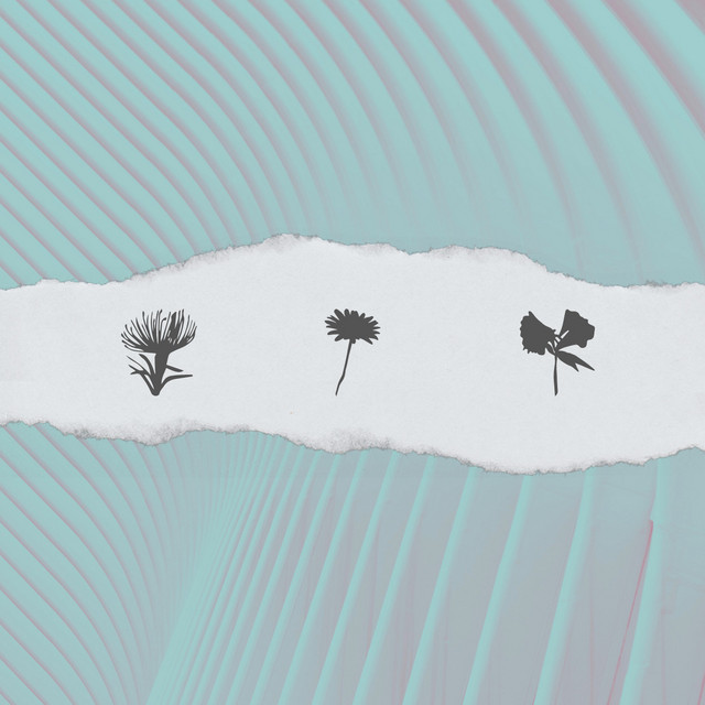 Sever cover art