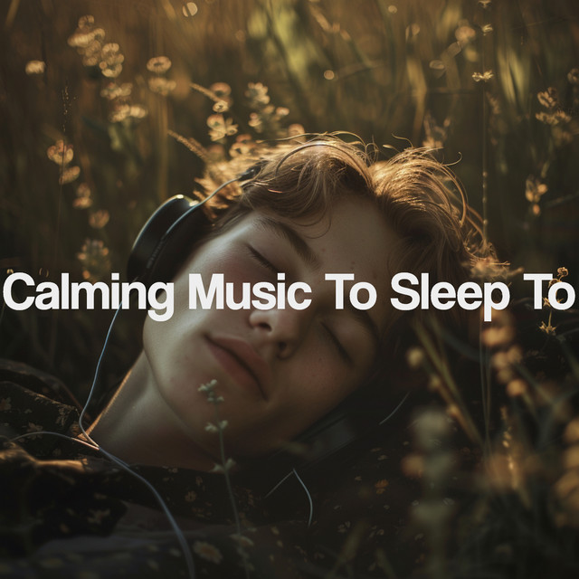 Calming Music To Sleep To cover art