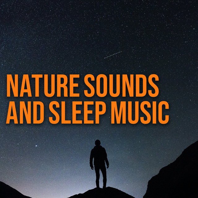 Snore - song and lyrics by Sleeping Baby Songs | Spotify