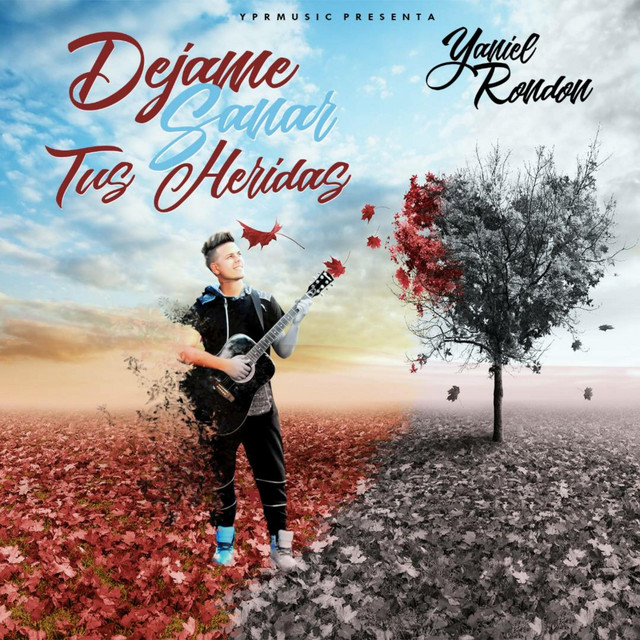 Dejame Sanar Tus Heridas - Single by Yaniel Rondon | Spotify