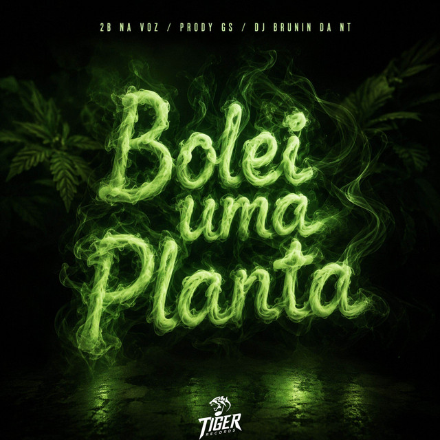 BOLEI UMA PLANTA