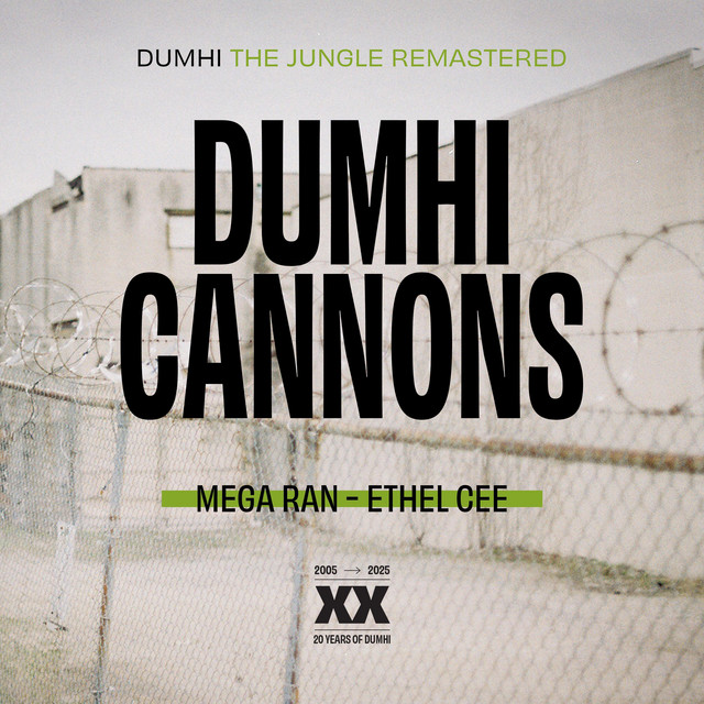 Dumhi Cannons
