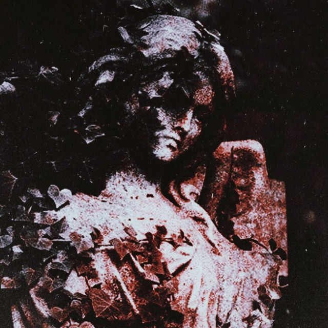 divine cover art