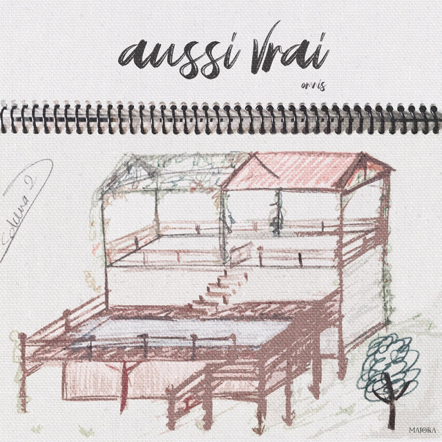 Aussi Vrai cover art