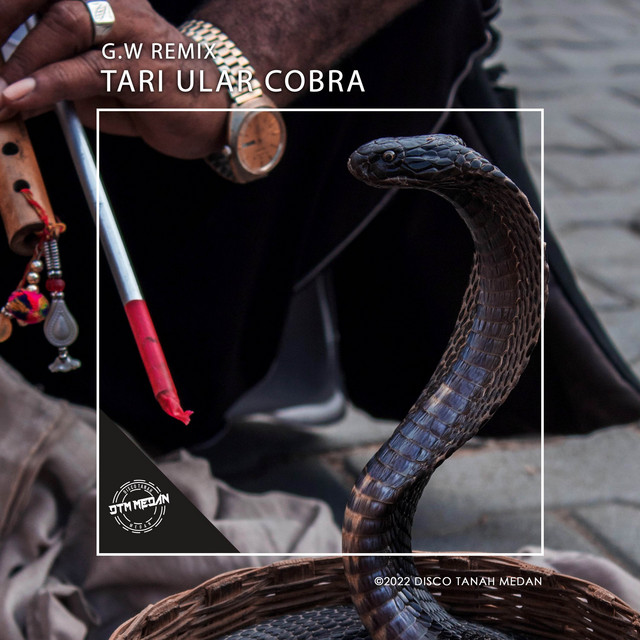 TARI ULAR COBRA (G.W REMIX) cover art