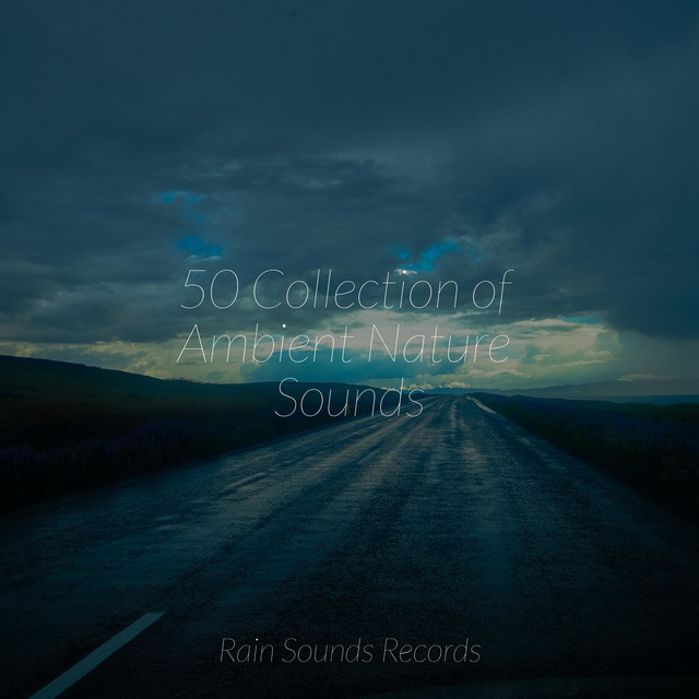 50 Collection of Ambient Nature Sounds - Album by Massage Therapy Music ...