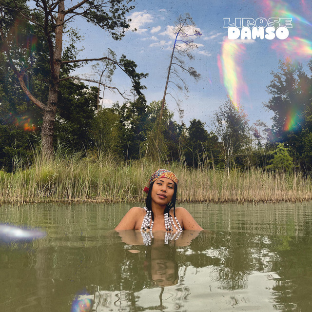 Album cover for Damso by Lirose