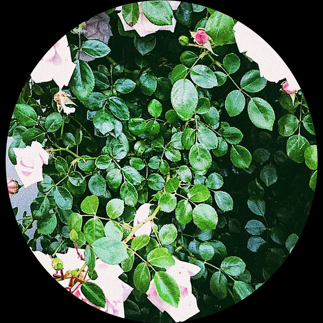 Broken Boy album art