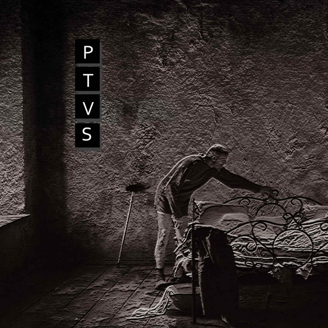 Обкладинка: PTVS — Гибкий Чаплинъ