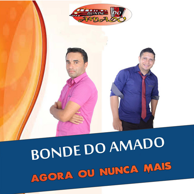 Agora ou Nunca Mais cover art
