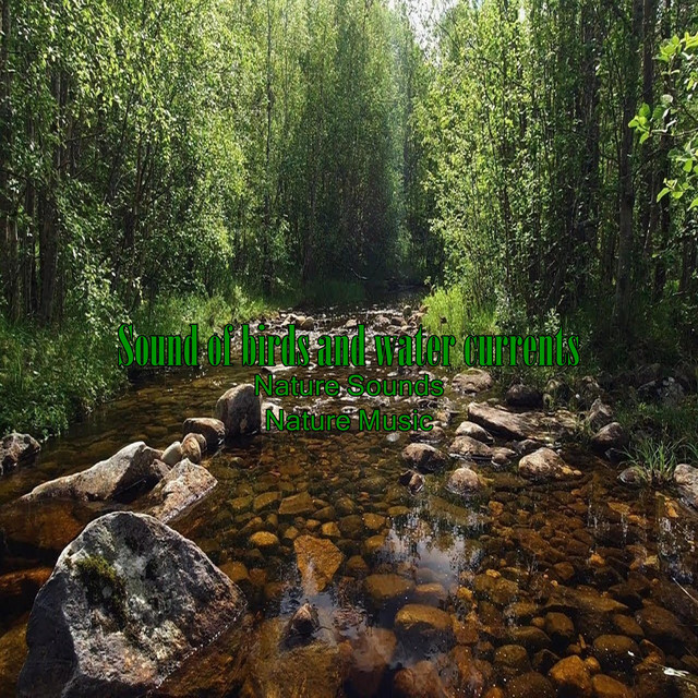 Sound of Birds and Water Currents