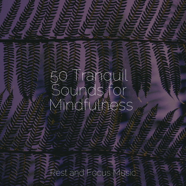 50 Tranquil Sounds for Mindfulness - Album by Zen Meditate | Spotify