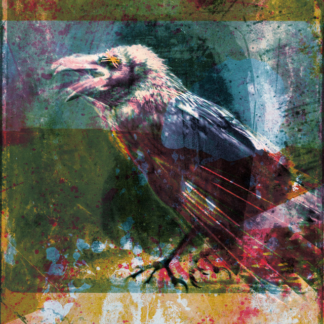 undefined album image