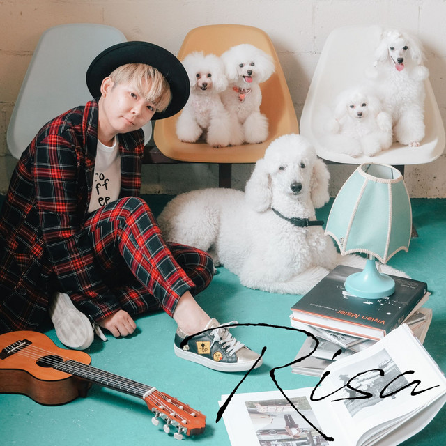 undefined album image