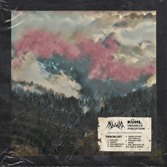 Enhanced Perception cover art