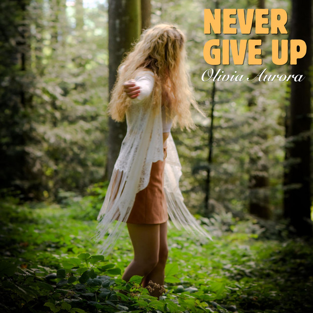 Never Give Up