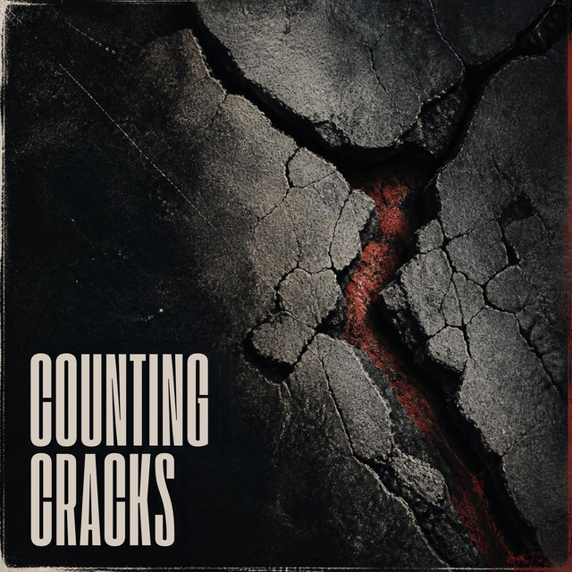 Counting Cracks cover
