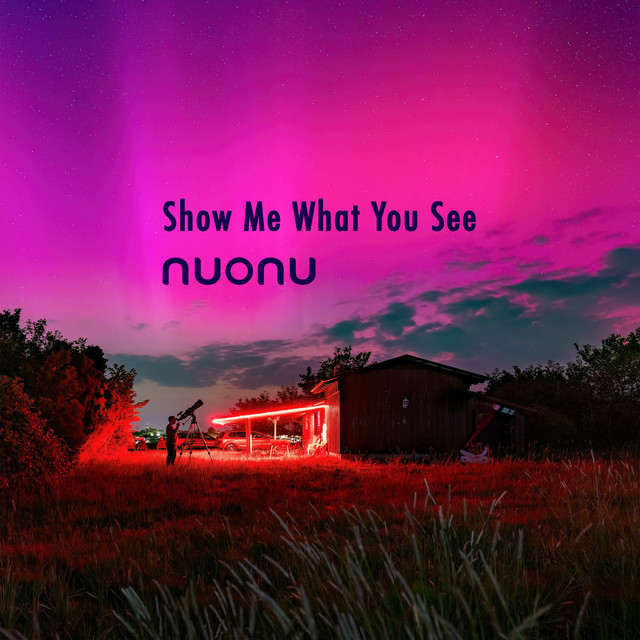 Show Me What You See cover