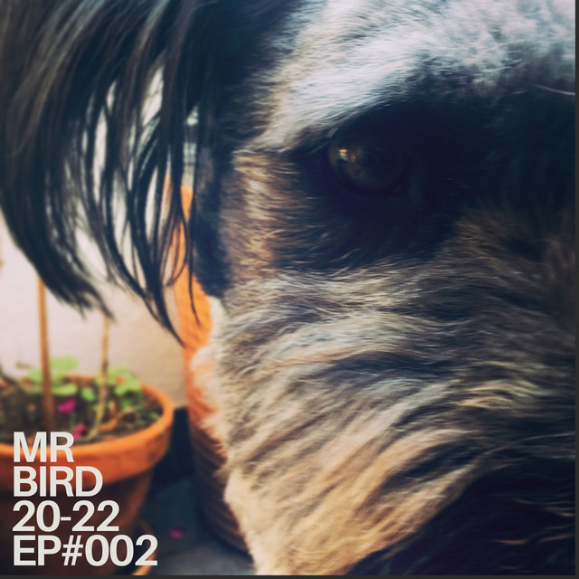 Bird Beats 20-22 #EP002 cover art