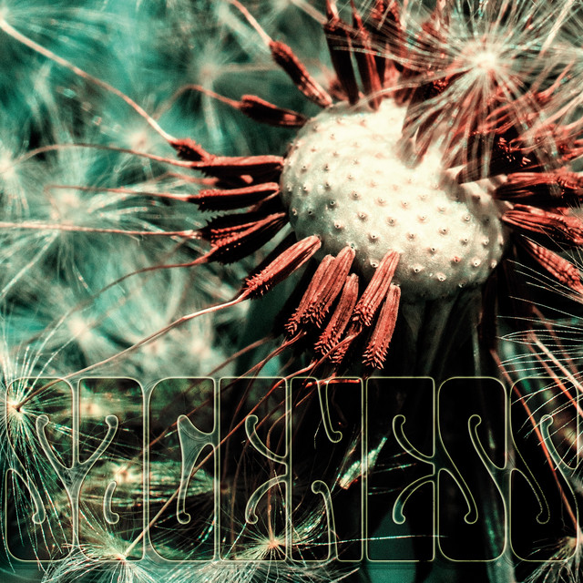 Sageness cover art