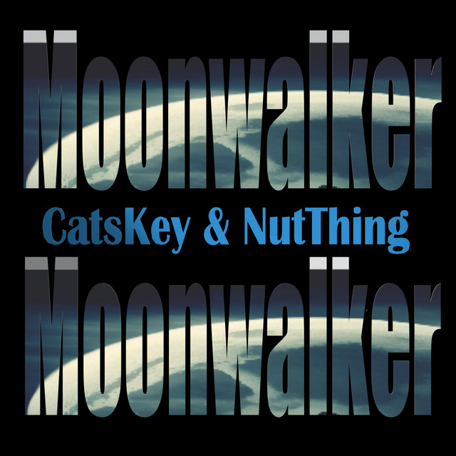Moonwalker (Remix) cover art