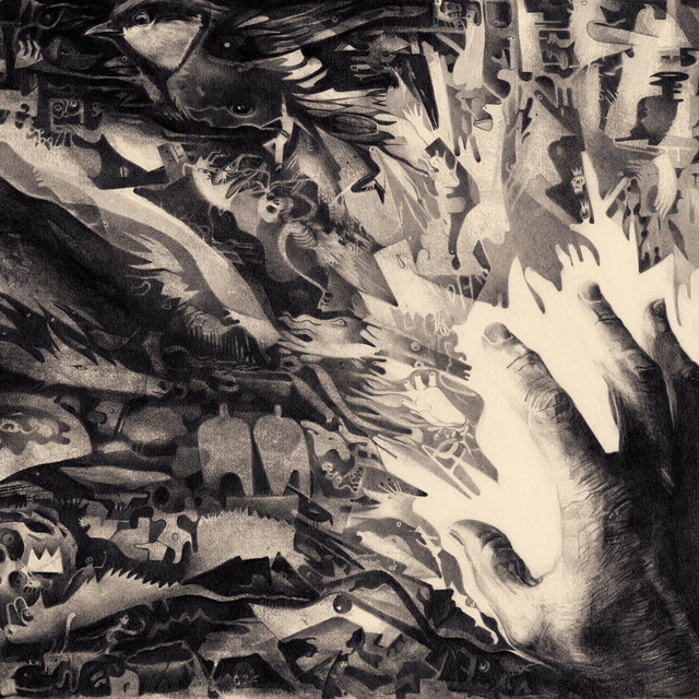 Disunited States of Anima cover