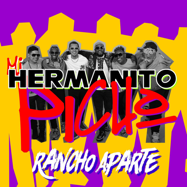 Mi Hermanito Picho cover