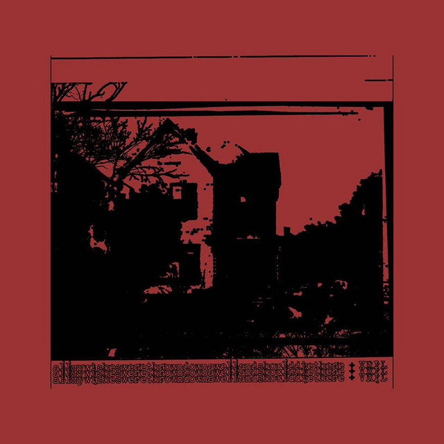 VRIL Split by All My Wishes Were Thrown Down a Well and Should Die There album cover