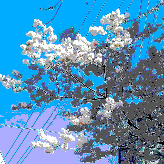 Cover art: 23:59 — oni. wave