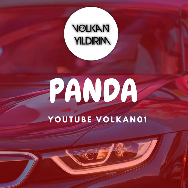 PANDA - Single by DJVolkan Yıldırım | Spotify