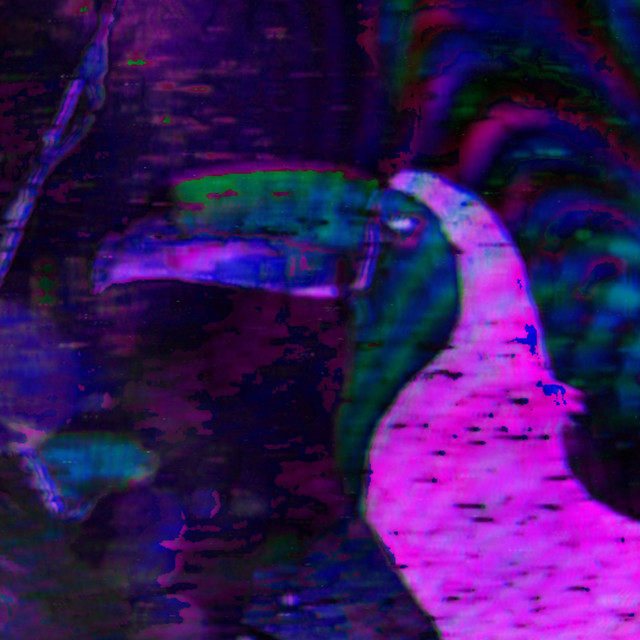 オオハシ cover art