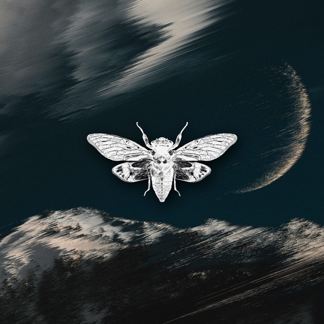 Acid Moon