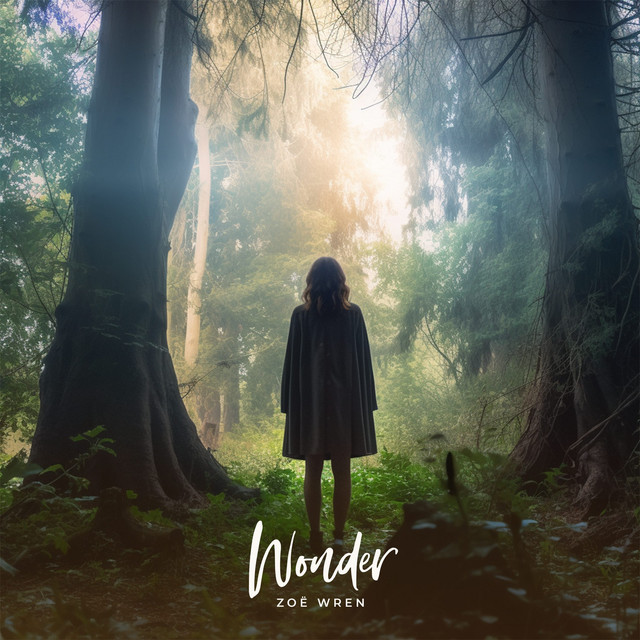 Wonder cover