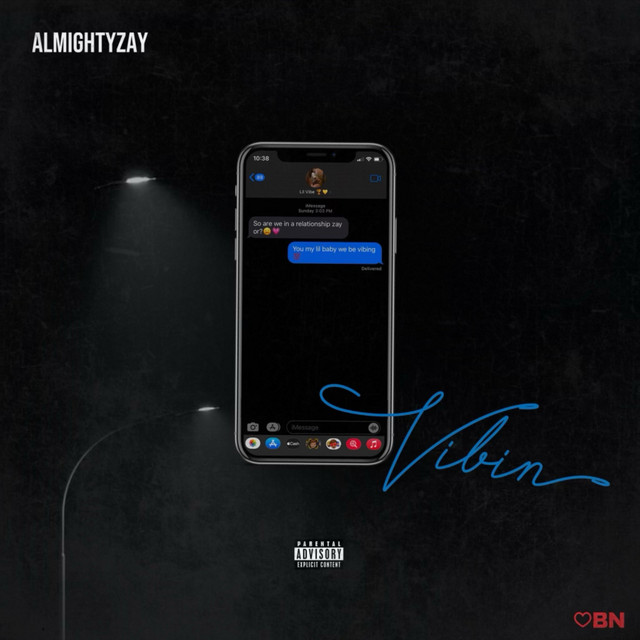 VIBIN cover
